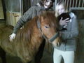 Lisa, Maria und Nine ba de Pferd 54981030