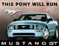 Mustang 66163308