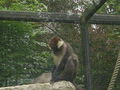 Tierpark Schmiding 2008 42331958