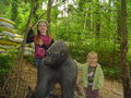 Tierpark Schmiding 2008 42332135