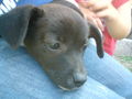 Meine kleine Kira! Aug. 2008 44665610