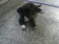 Meine kleine Kira! Aug. 2008 44665647