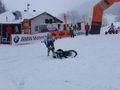 Snow speed hill race 71524984