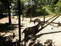 Tierpark 25494458
