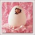 Anne Geddes 67839049