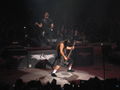 Metallica 14.5 stadthalle 59374771