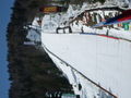 Planica 56510506