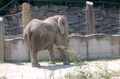 Ausflug Schönbrunn 45902840