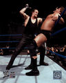 Undertaker 42804858