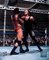 Undertaker 42804861