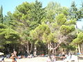 Kroatien 2008, 14.8.08 bis 17.8.08 43526560