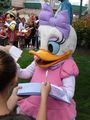 Disneyland Paris 44309044