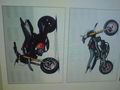 moped 59907564