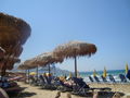 Urlaub in kreta >MALIA 64556486