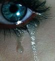 $$$$$$SaD eYeS$$$$$$ 43210142