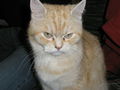 Tiere!!! 50758007