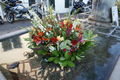 Flowers 43419024