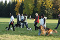 Unser 1. DOGWALK-Treffen 46647618