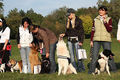 Unser 1. DOGWALK-Treffen 46647622