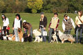 Unser 1. DOGWALK-Treffen 46647624