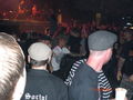 Social Distortion Wien 66486584