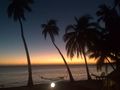 Fiji Pics Urlaub 63743841