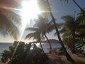 Fiji Pics Urlaub 63788946