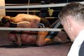 My Freefight VS Ralf Seeger 68523610