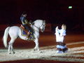 Pferd Wels Showabend 2009 60155382