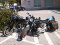 Harleywood '09 66717408