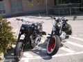 Harleywood '09 66717474