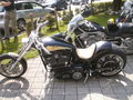 Harleywood '09 66718102