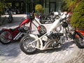 Harleywood '09 66718205