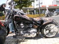 Harleywood '09 66718332