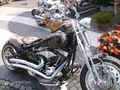 Harleywood '09 66718616