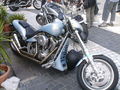 Harleywood '09 66718644