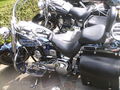 Harleywood '09 66718882