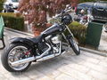 Harleywood '09 66719296