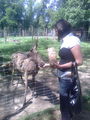 Tierpark Haag 59157615