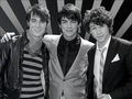  ???JONasBROthers??? 43562222