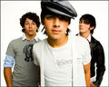  ???JONasBROthers??? 43562253