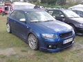 VW-Audi Treffen Waldhausen 74539705