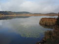 Gösseldorfersee Okt. 08 47364418