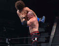 anfoch nur de geilsten wwe finisher 46136891