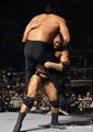 anfoch nur de geilsten wwe finisher 46136897