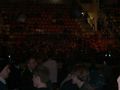 WWE RAW Tour 2008/LInz 43533876