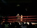 WWE RAW Tour 2008/LInz 43534130