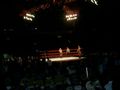 WWE RAW Tour 2008/LInz 43534207