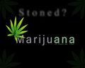 stoned??  72847894