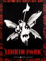 Llinkin Park 45510613